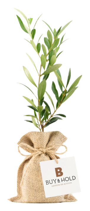 Eco Growth